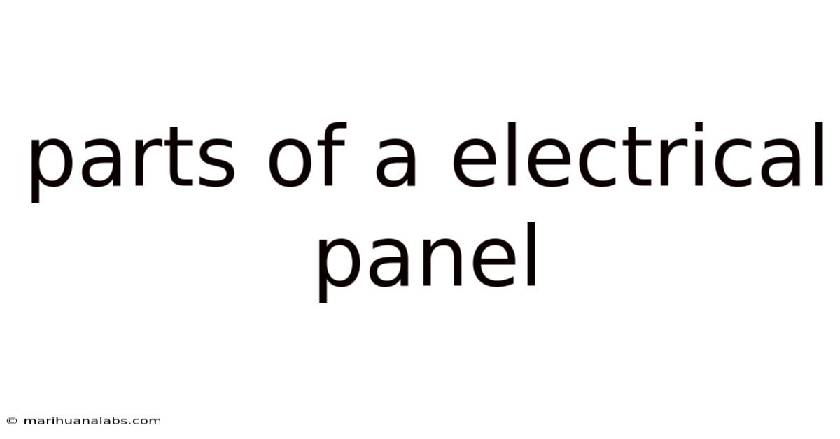 Parts Of A Electrical Panel