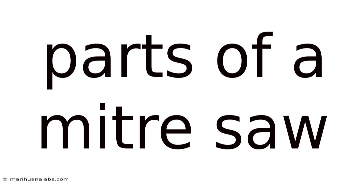 Parts Of A Mitre Saw