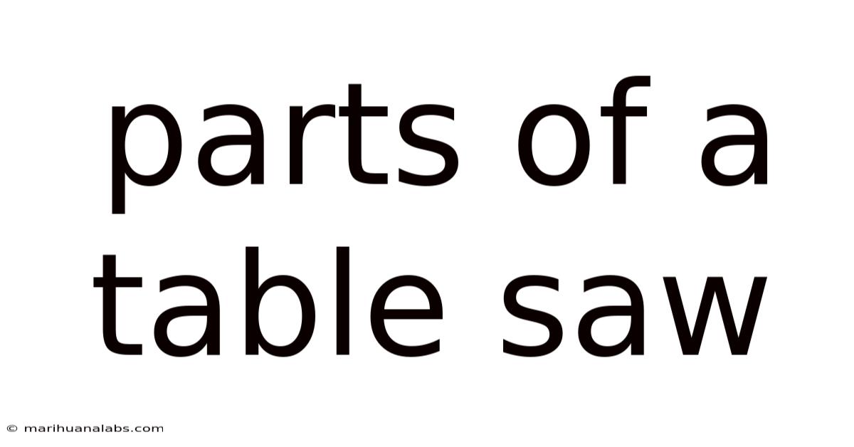 Parts Of A Table Saw