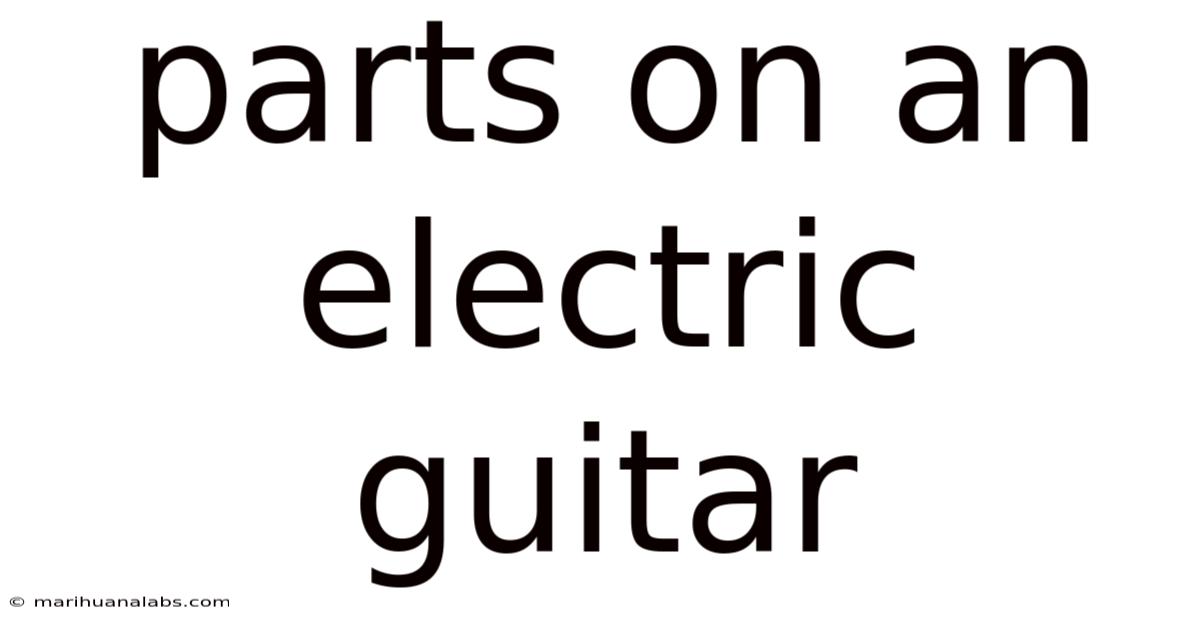 Parts On An Electric Guitar