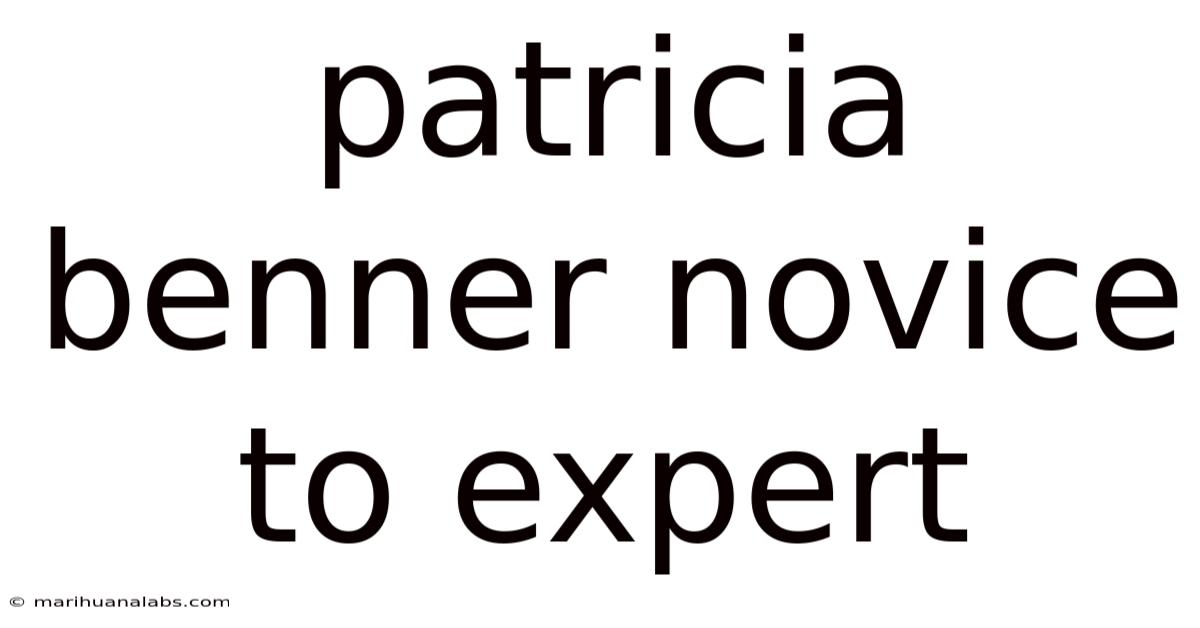 Patricia Benner Novice To Expert