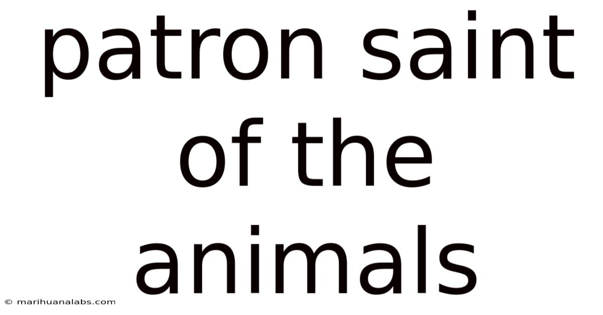 Patron Saint Of The Animals