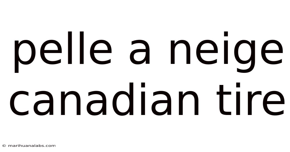 Pelle A Neige Canadian Tire