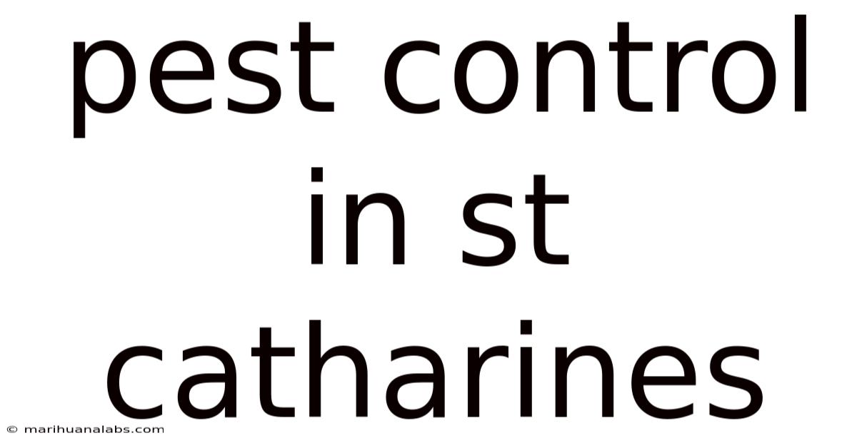 Pest Control In St Catharines