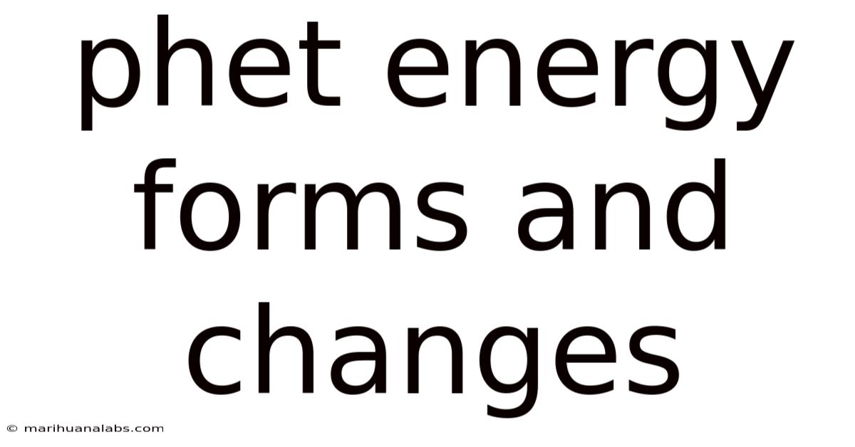 Phet Energy Forms And Changes