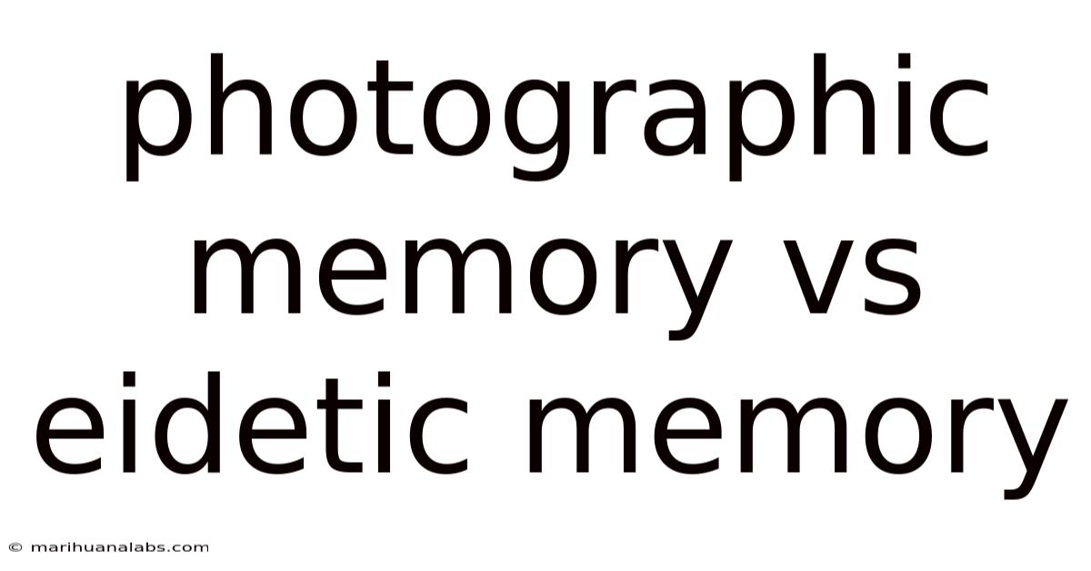 Photographic Memory Vs Eidetic Memory