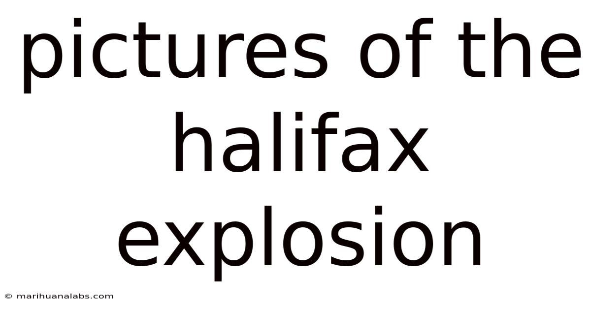 Pictures Of The Halifax Explosion