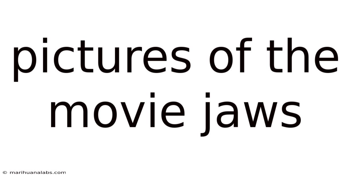 Pictures Of The Movie Jaws