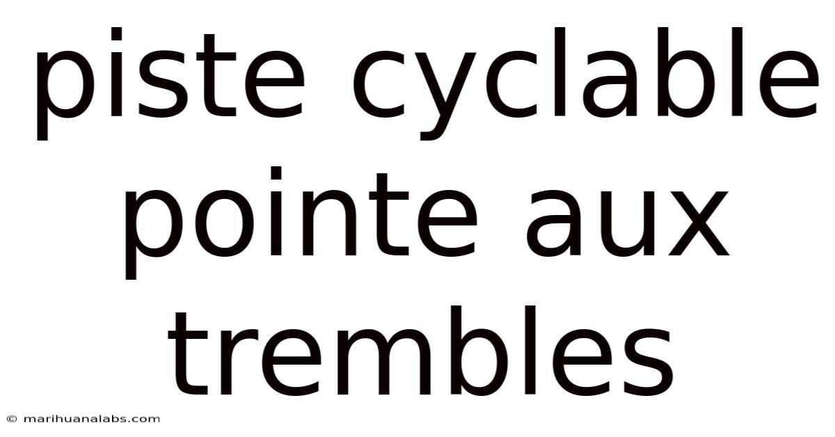 Piste Cyclable Pointe Aux Trembles