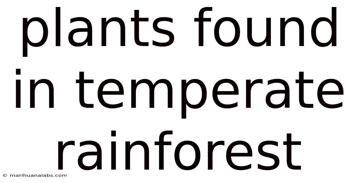 Plants Found In Temperate Rainforest
