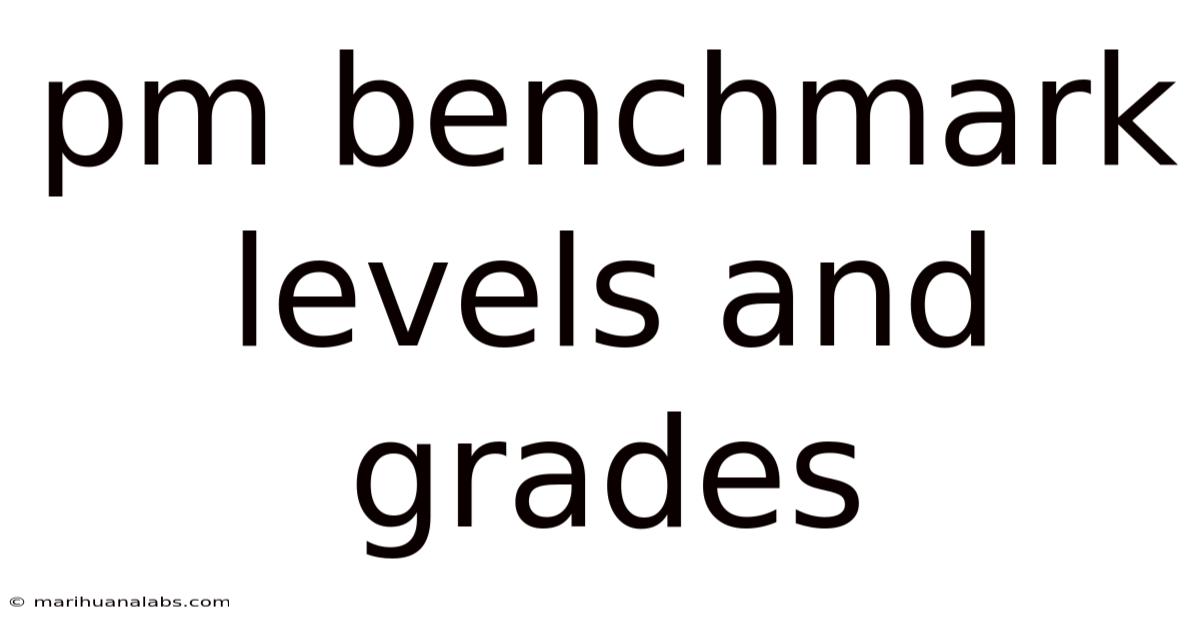 Pm Benchmark Levels And Grades