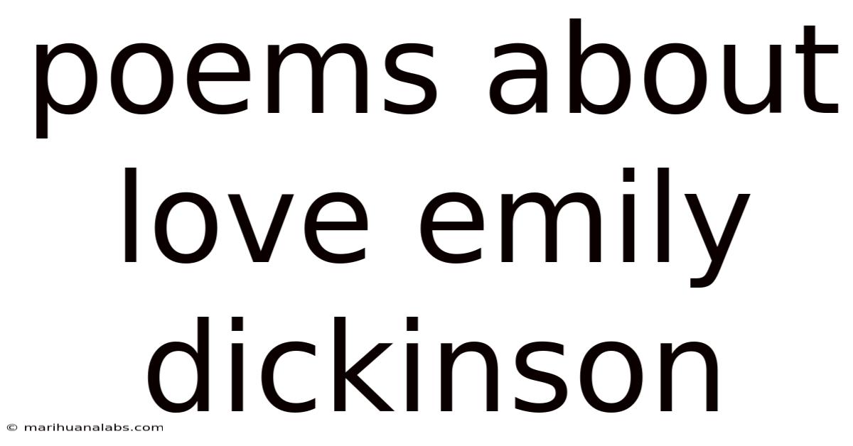 Poems About Love Emily Dickinson