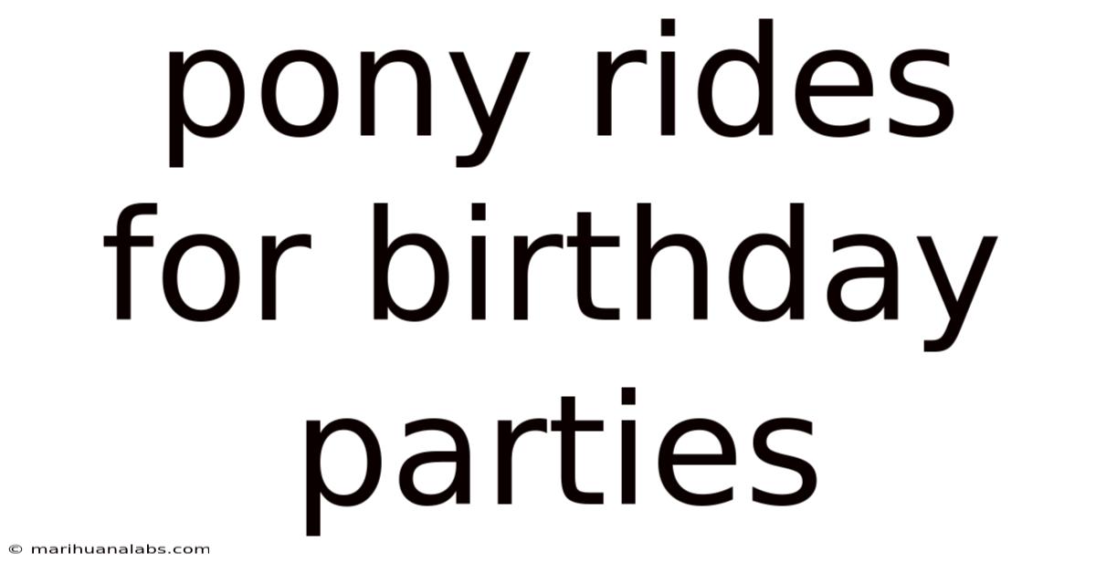 Pony Rides For Birthday Parties