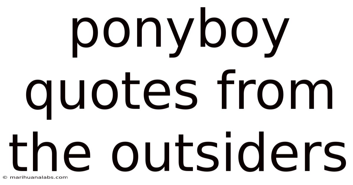 Ponyboy Quotes From The Outsiders