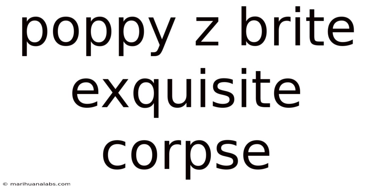 Poppy Z Brite Exquisite Corpse