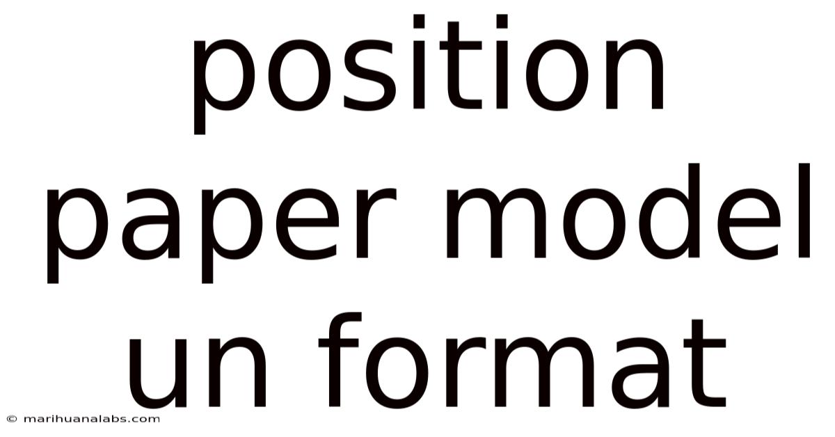 Position Paper Model Un Format