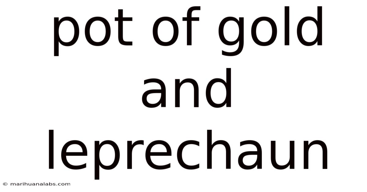 Pot Of Gold And Leprechaun