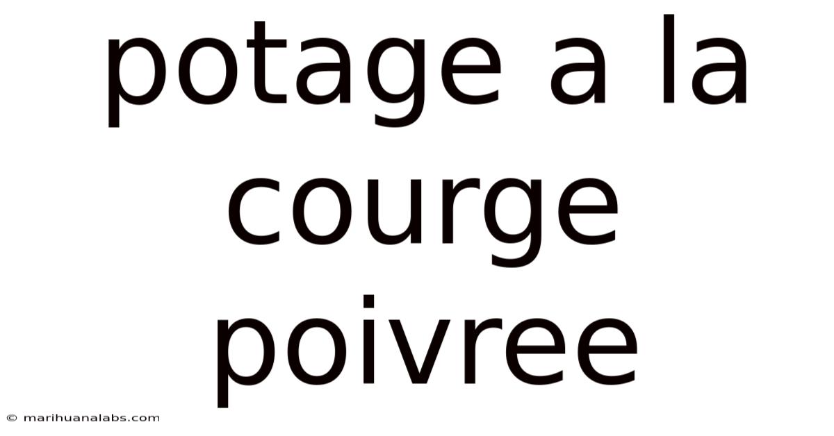 Potage A La Courge Poivree