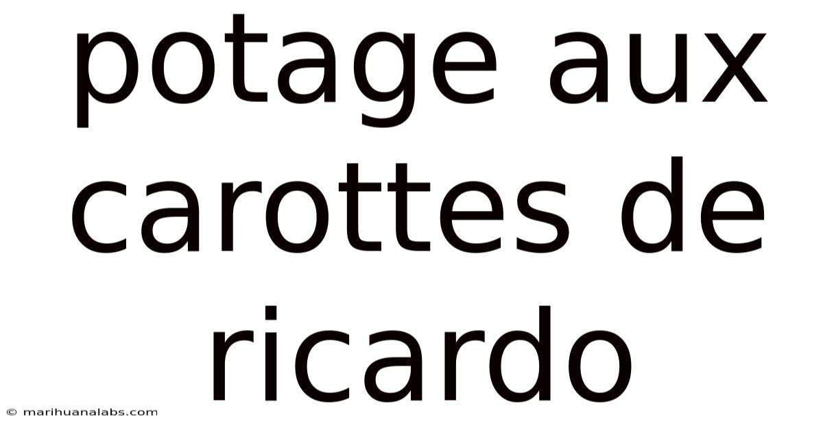 Potage Aux Carottes De Ricardo