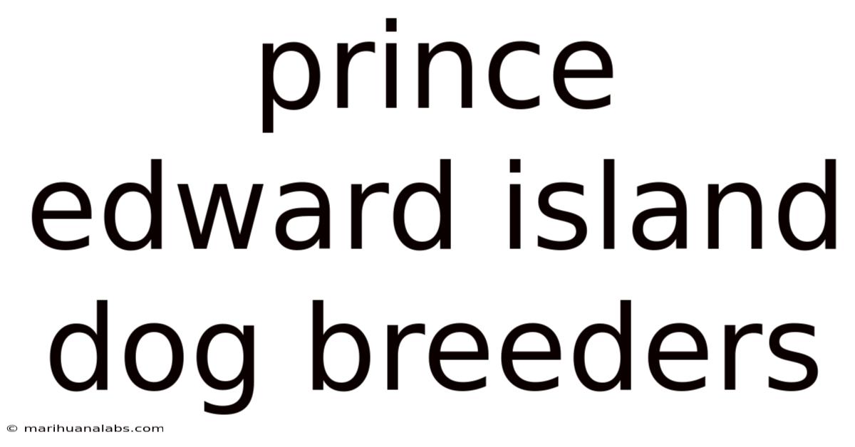 Prince Edward Island Dog Breeders