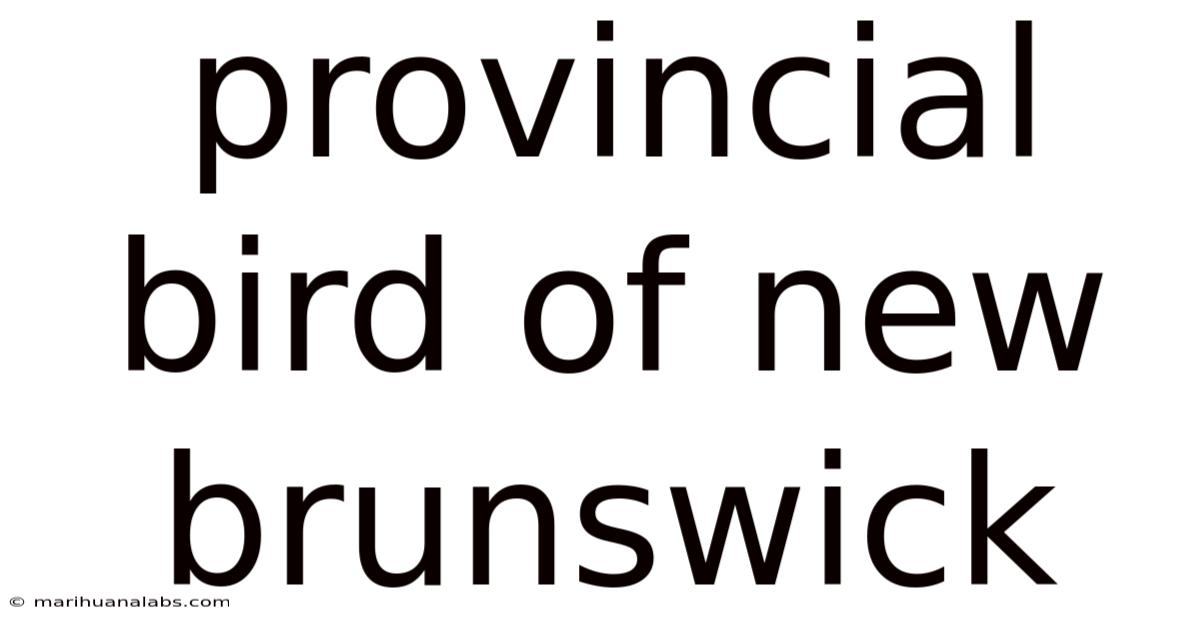 Provincial Bird Of New Brunswick