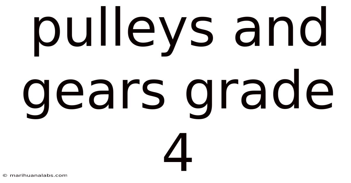 Pulleys And Gears Grade 4