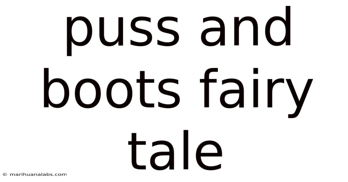 Puss And Boots Fairy Tale