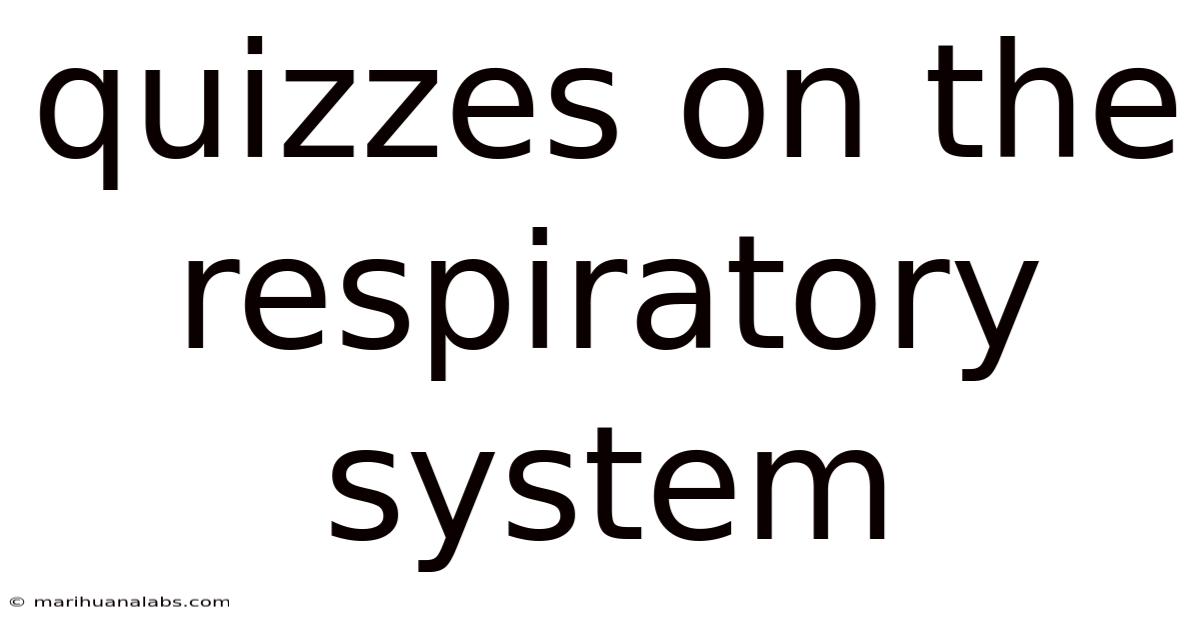 Quizzes On The Respiratory System