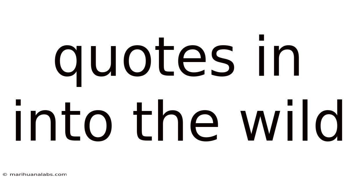Quotes In Into The Wild
