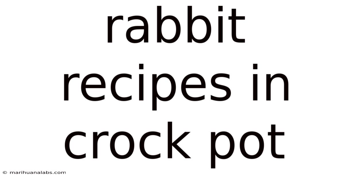 Rabbit Recipes In Crock Pot