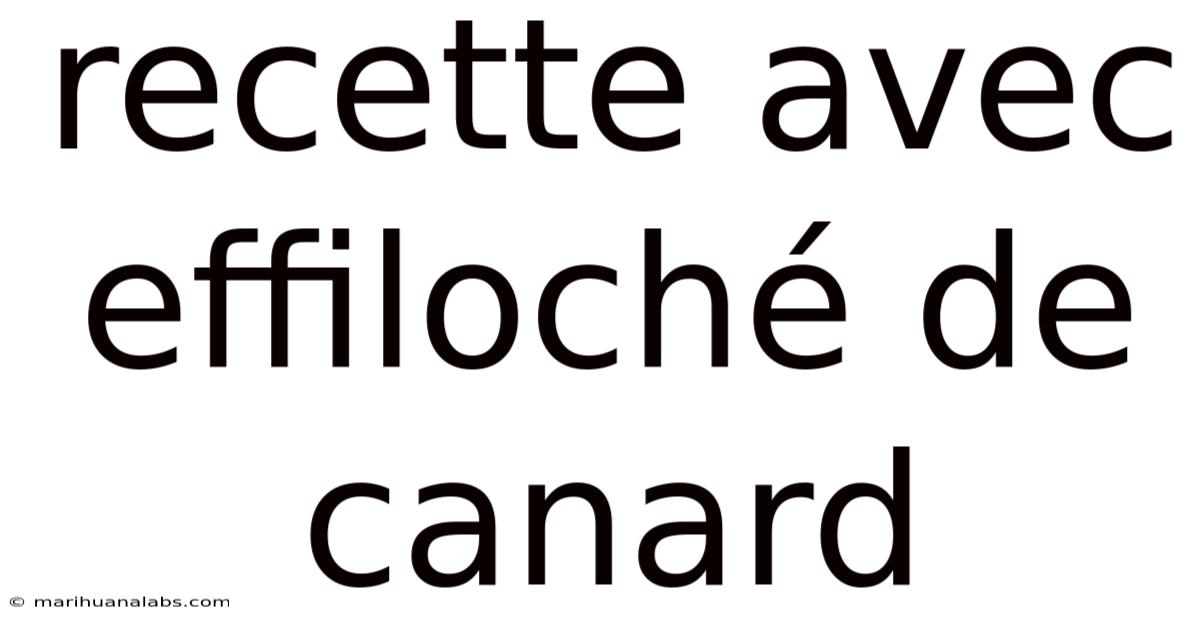 Recette Avec Effiloché De Canard