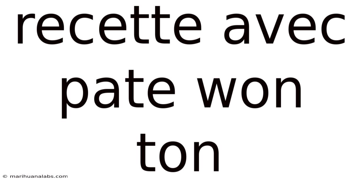 Recette Avec Pate Won Ton