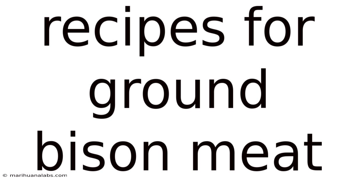 Recipes For Ground Bison Meat