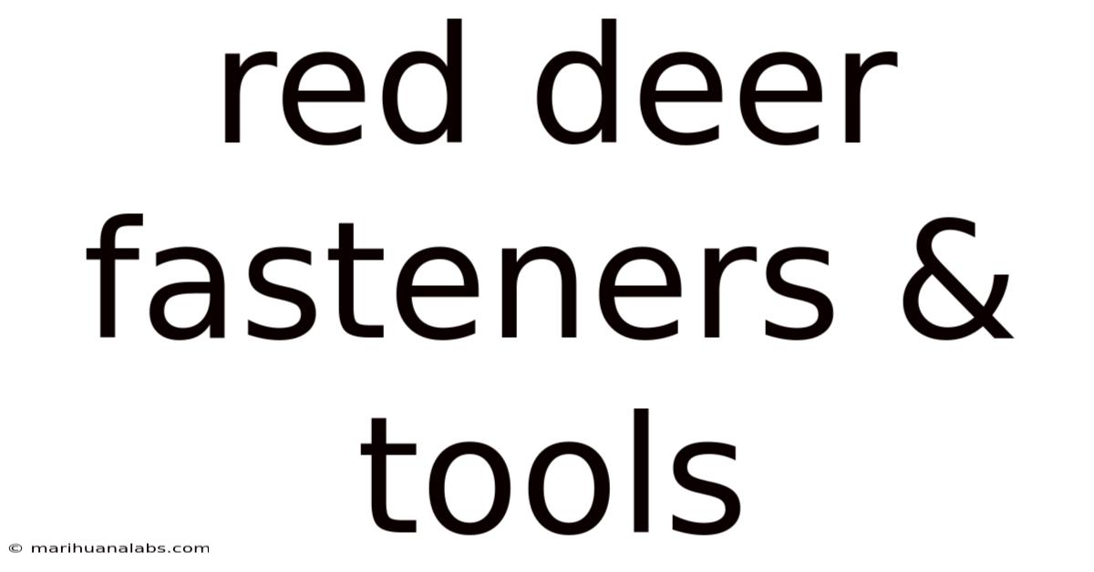 Red Deer Fasteners & Tools