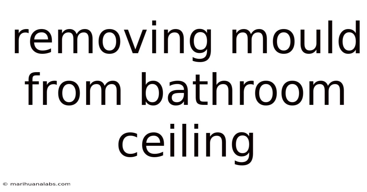 Removing Mould From Bathroom Ceiling