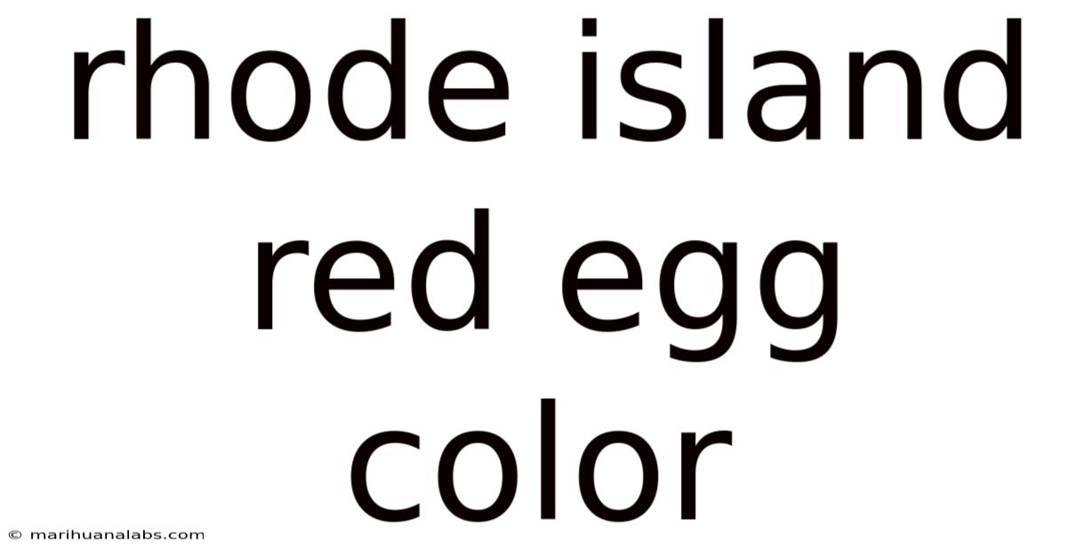 Rhode Island Red Egg Color