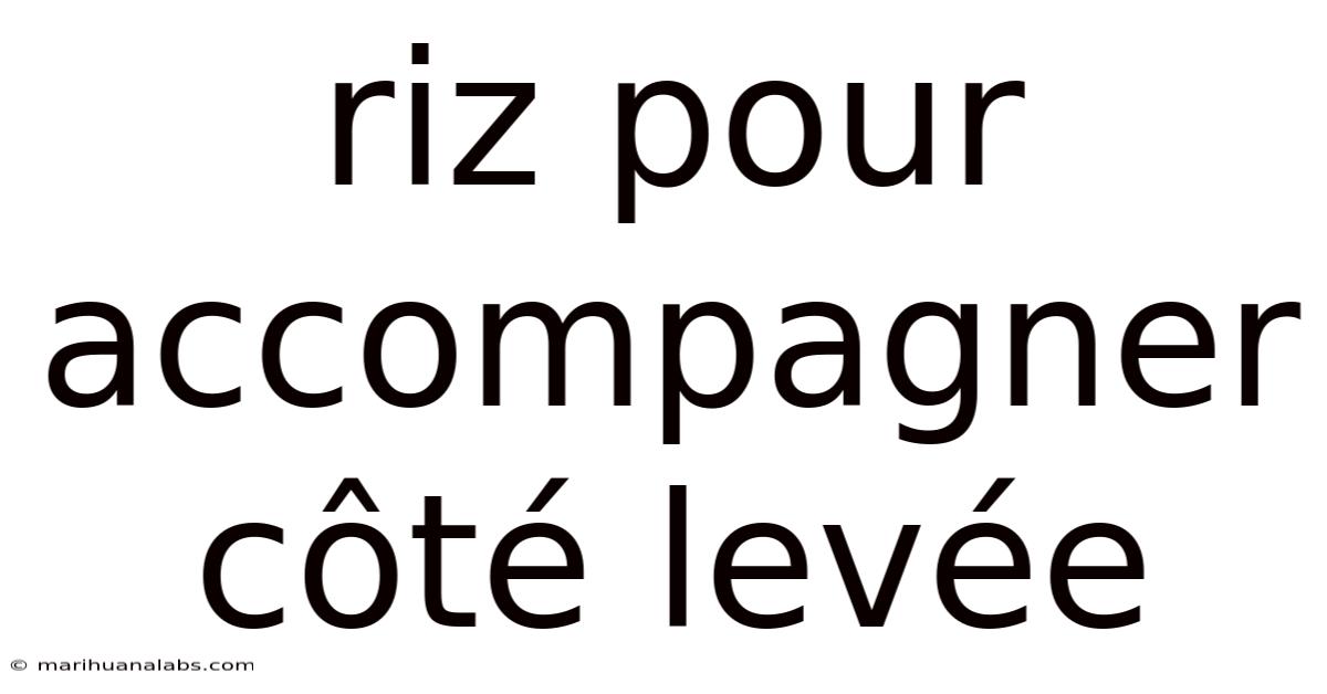 Riz Pour Accompagner Côté Levée