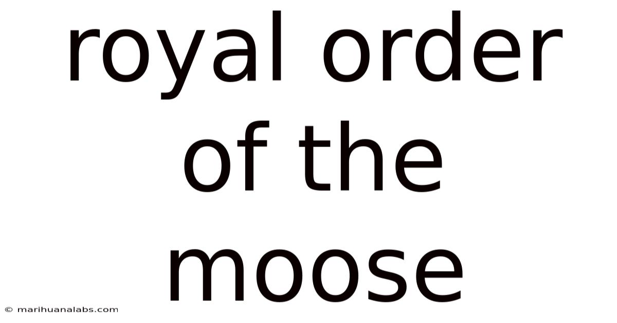 Royal Order Of The Moose