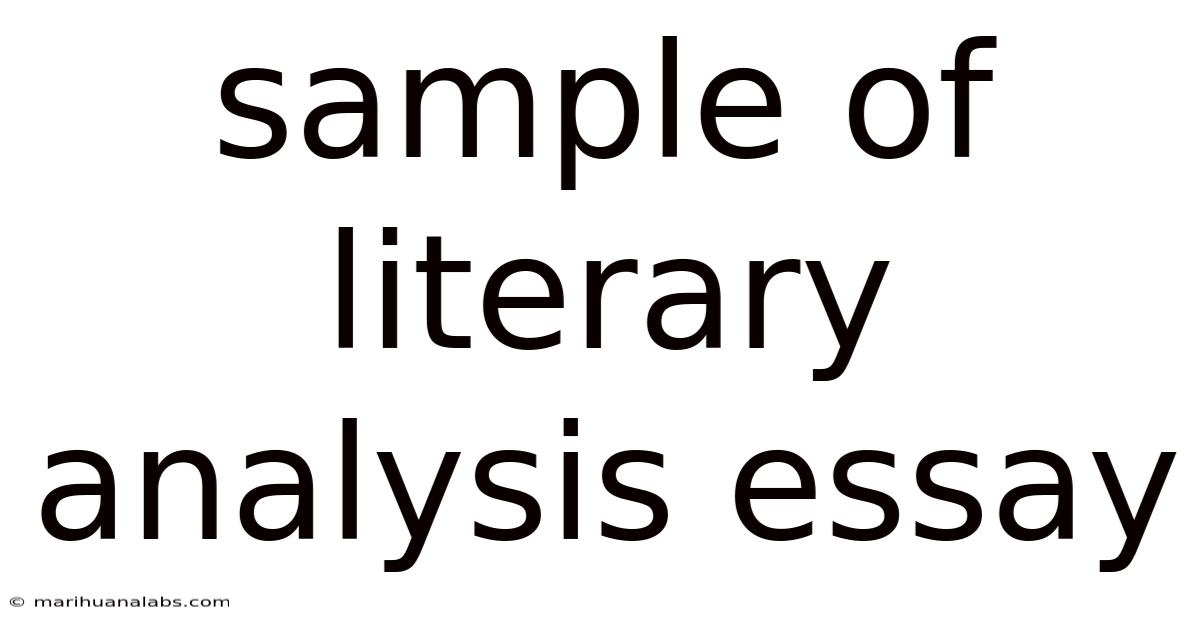 Sample Of Literary Analysis Essay