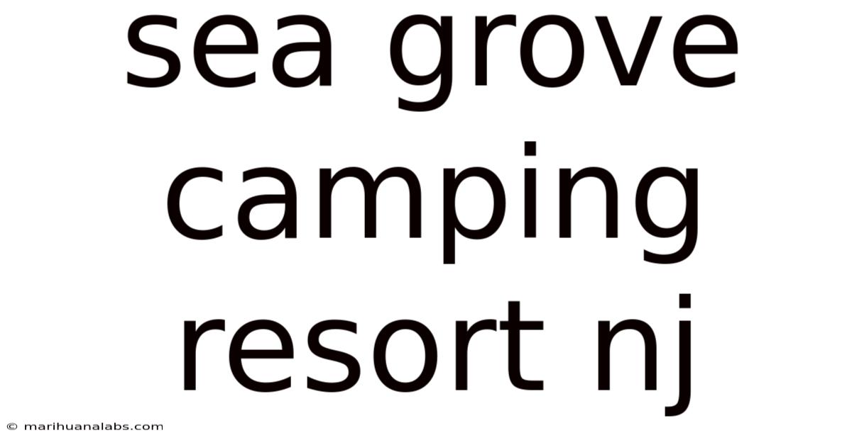 Sea Grove Camping Resort Nj