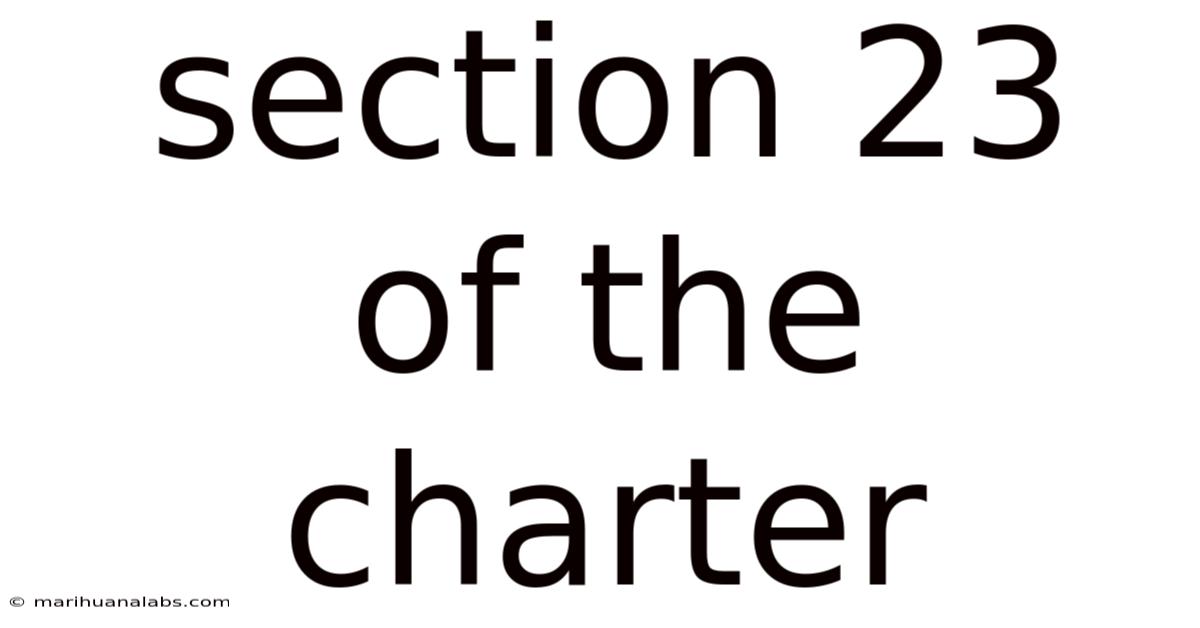 Section 23 Of The Charter