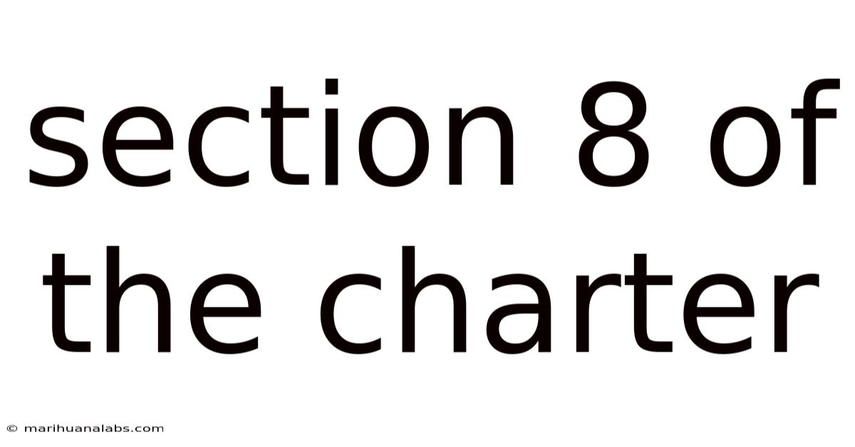Section 8 Of The Charter