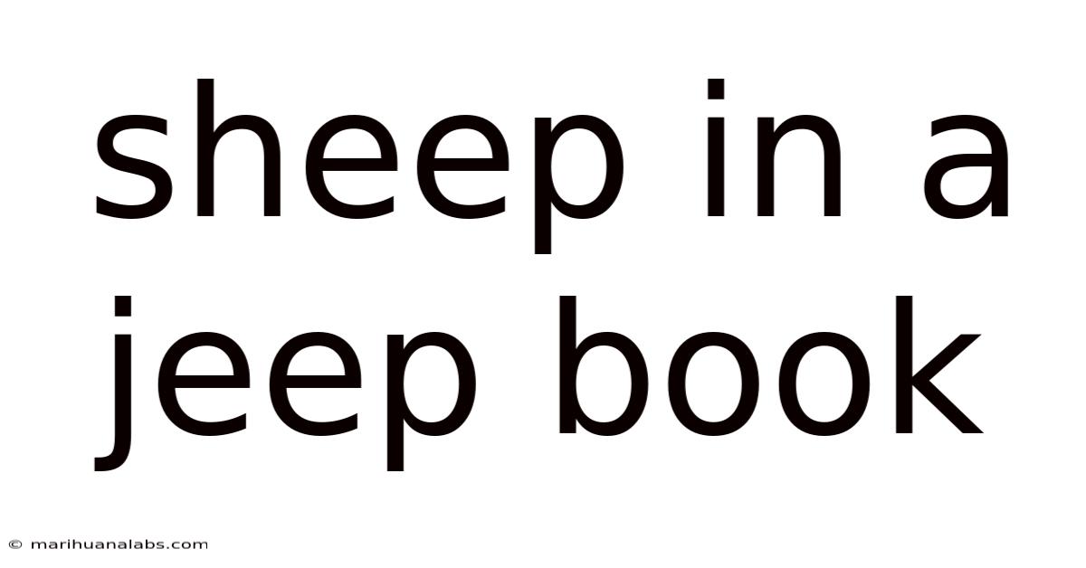Sheep In A Jeep Book