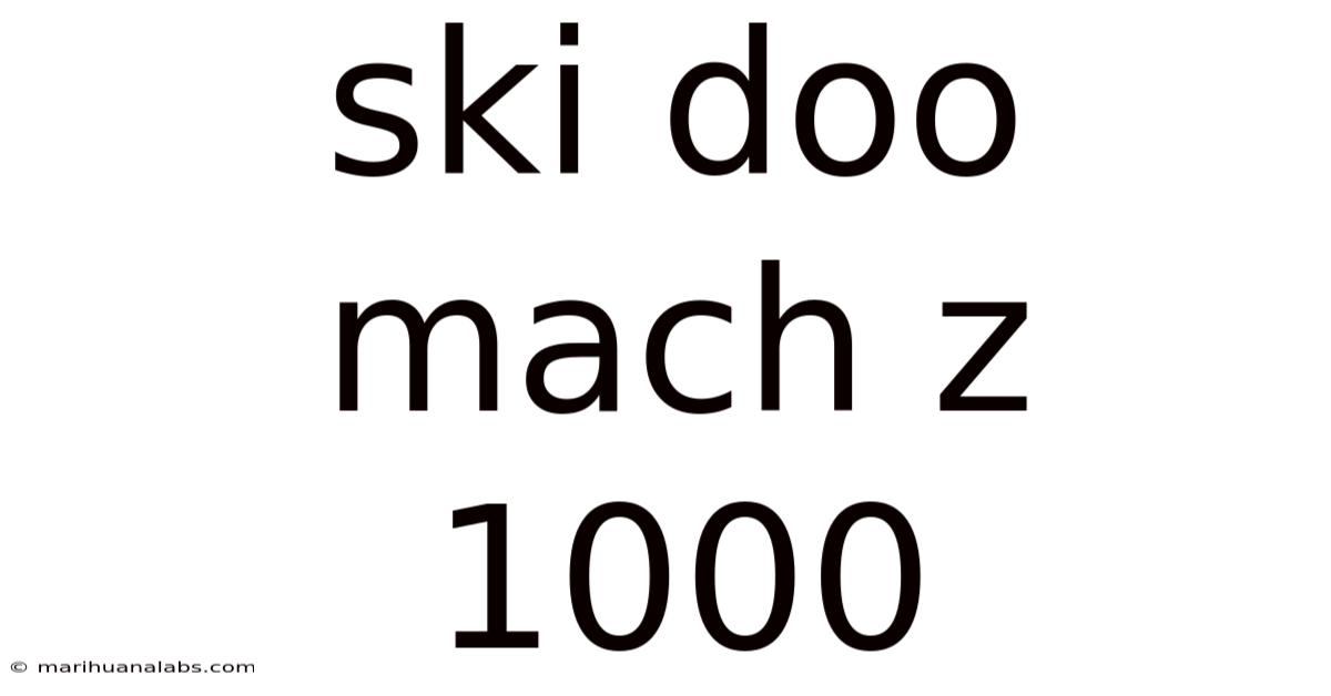 Ski Doo Mach Z 1000