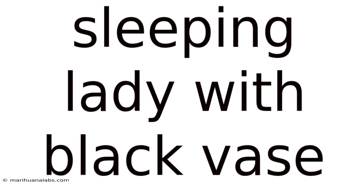 Sleeping Lady With Black Vase