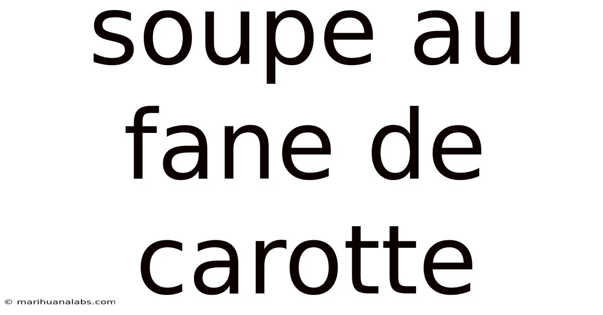 Soupe Au Fane De Carotte