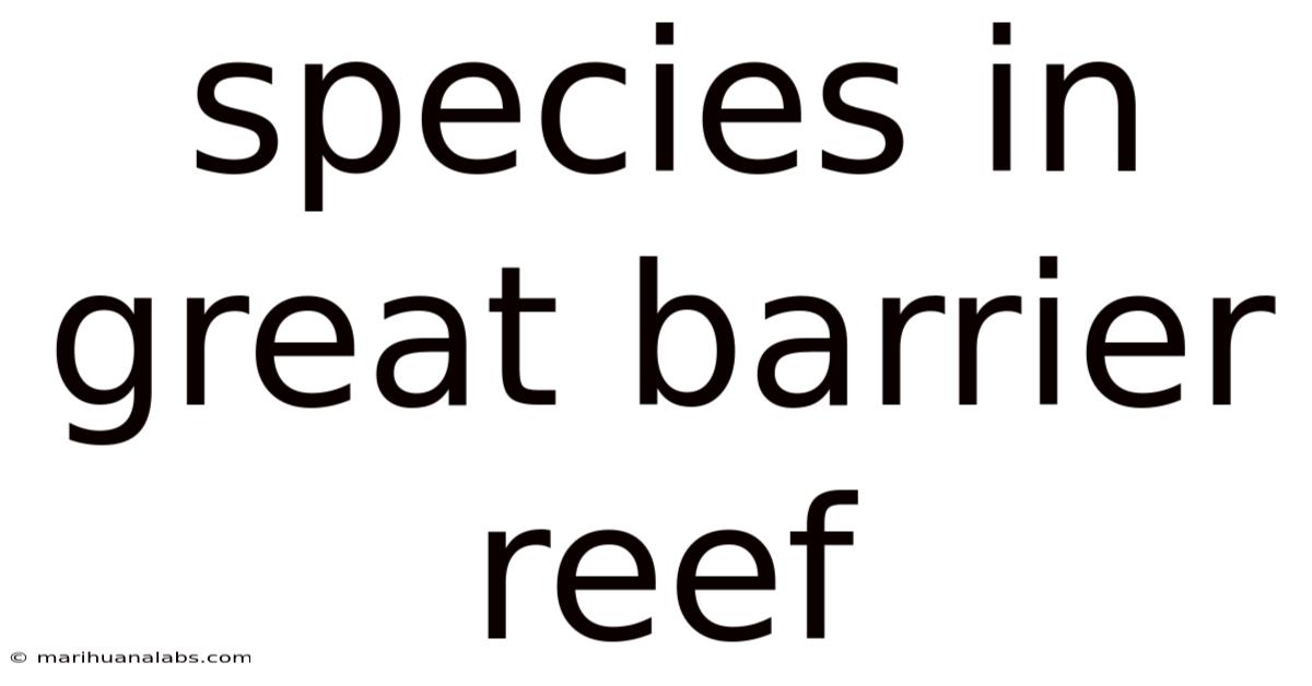 Species In Great Barrier Reef