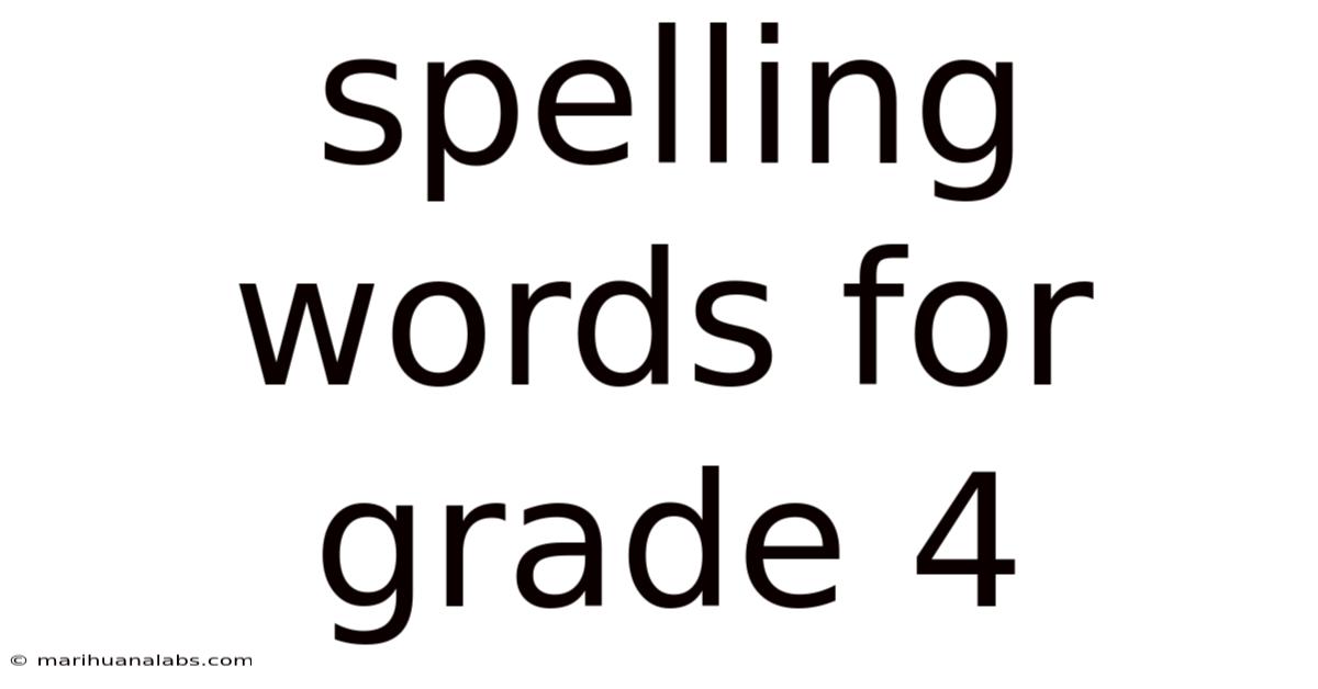 Spelling Words For Grade 4
