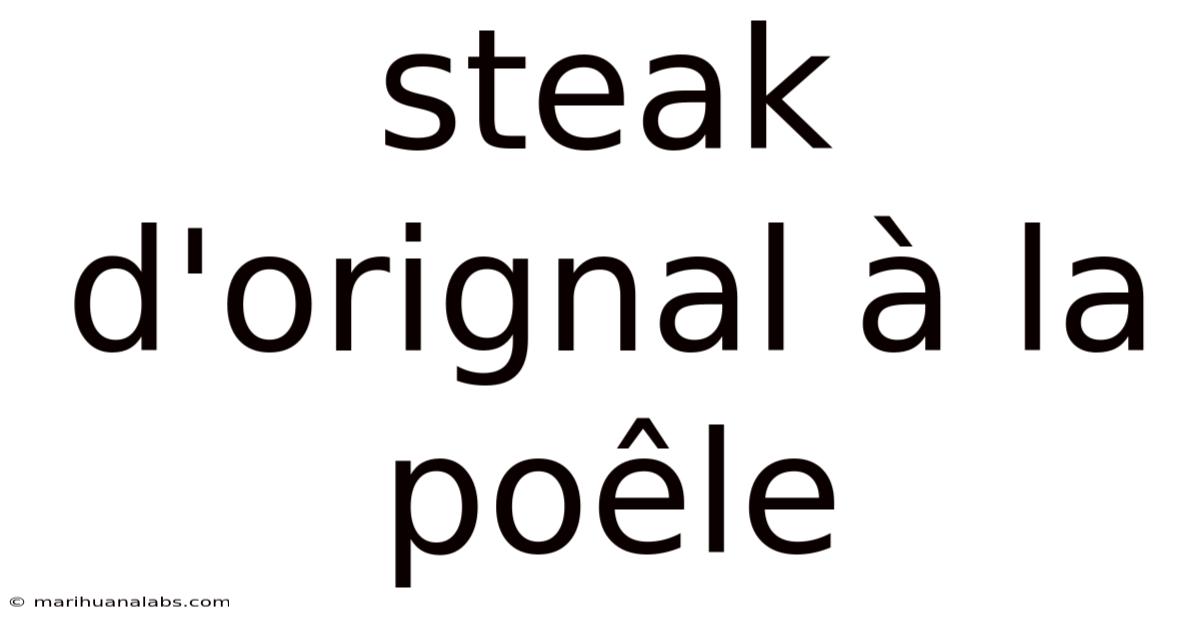 Steak D'orignal À La Poêle