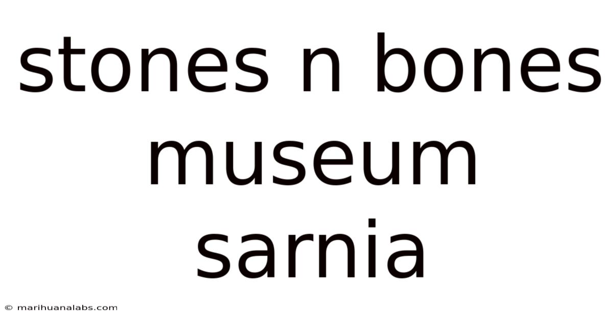 Stones N Bones Museum Sarnia